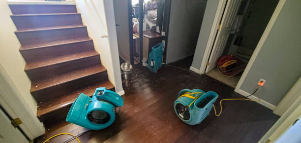 Best 24-hour water damage restoration  in Gloster, MS