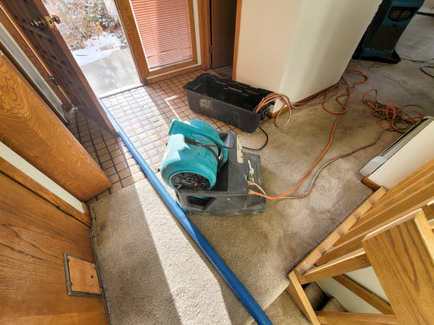 Best Flood restoration services  in Gloster, MS