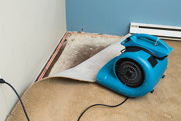 Best Ceiling water damage repair  in Gloster, MS